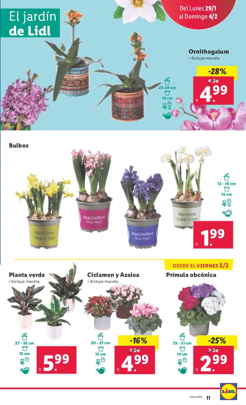 Folleto semanal Lidl. Página 11
