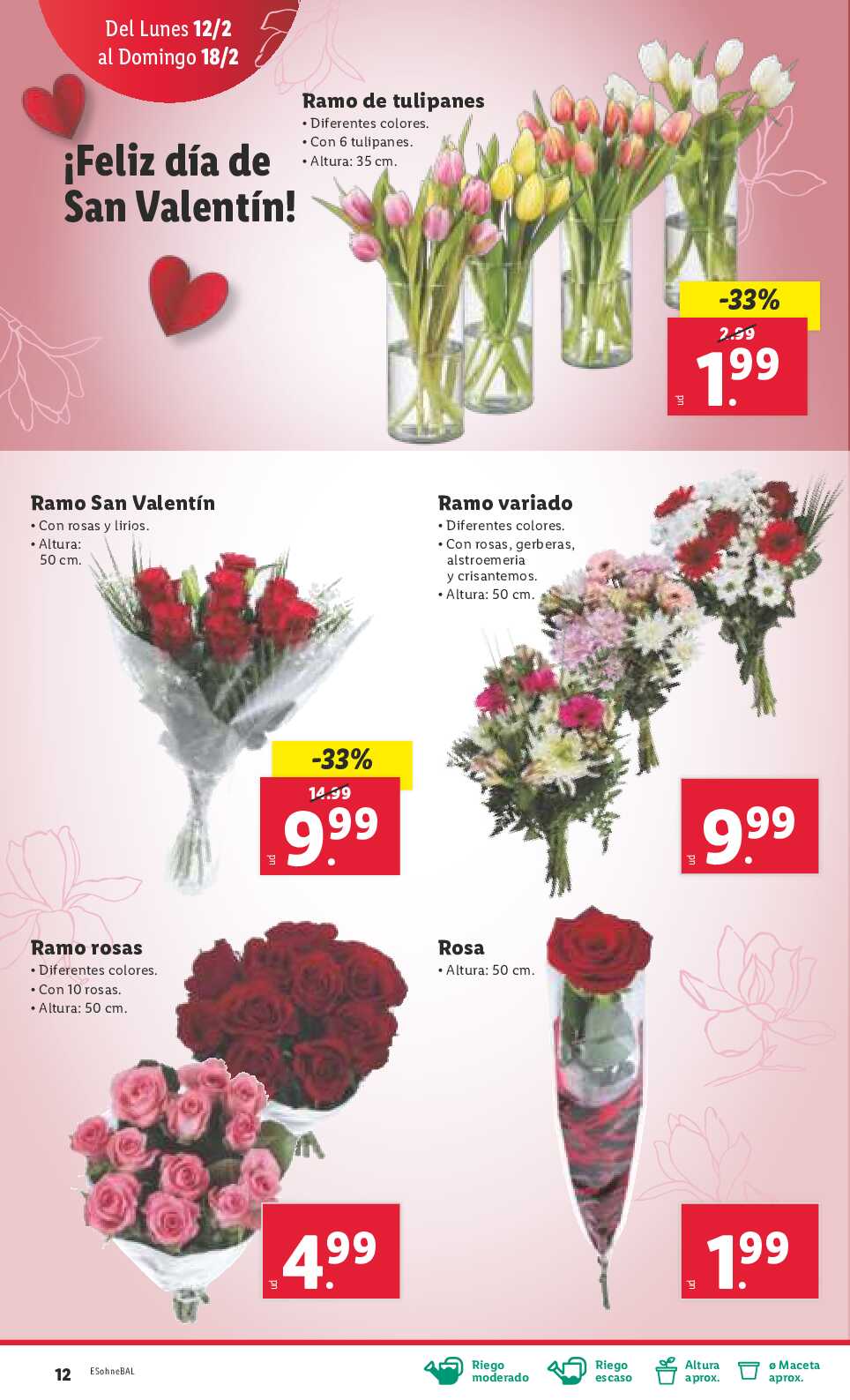 Folleto semanal Lidl. Página 12