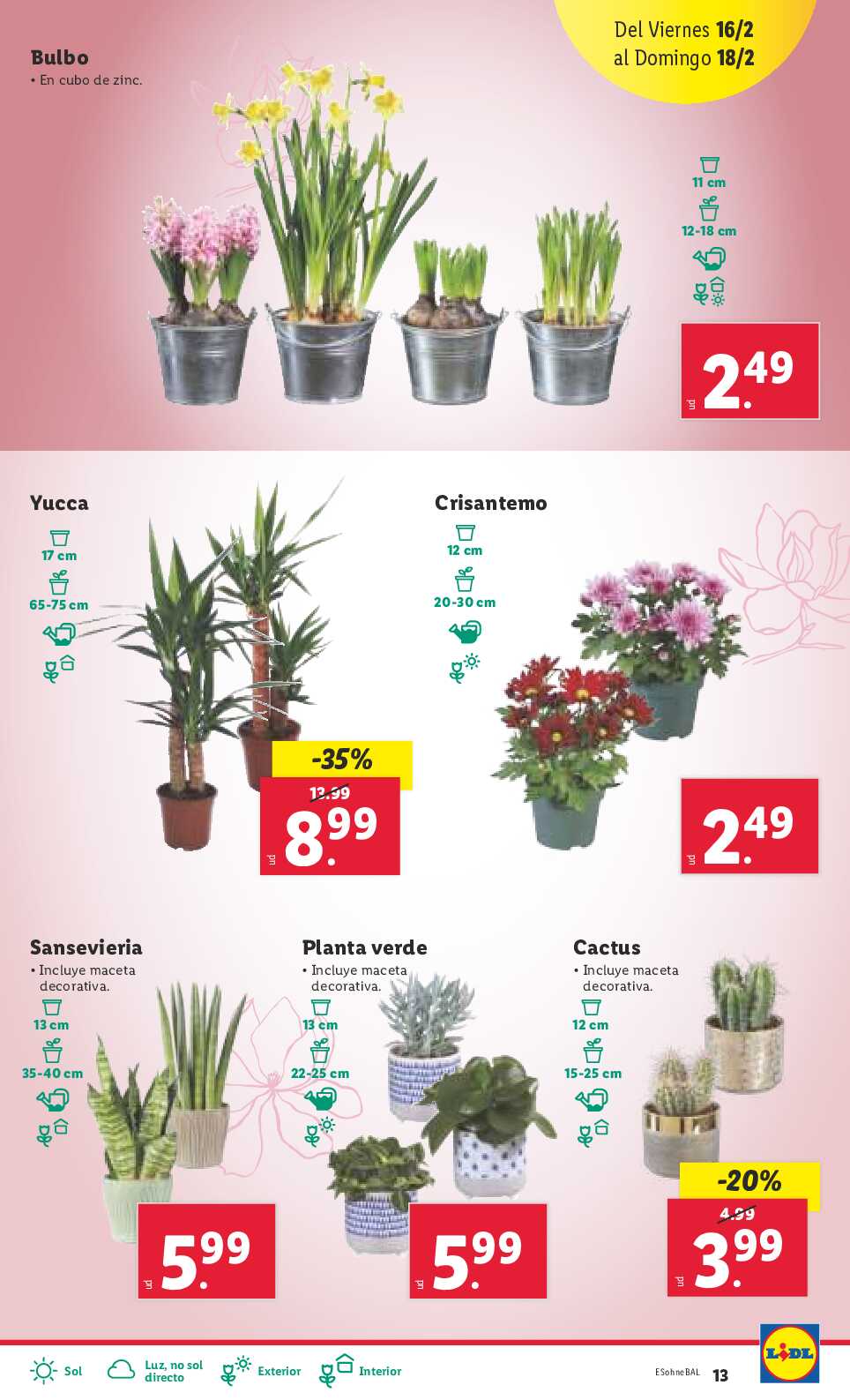 Folleto semanal Lidl. Página 13