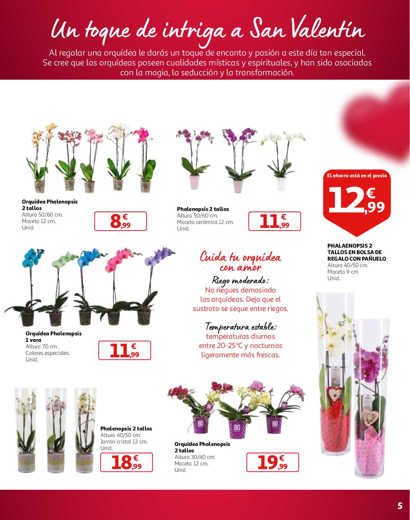 San Valentin te inspira el regalo Alcampo. Página 05