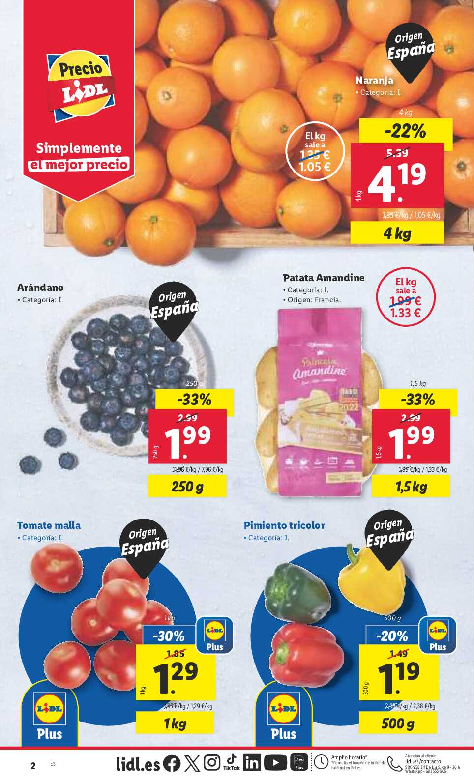 Folleto semanal bazar Lidl. Página 22