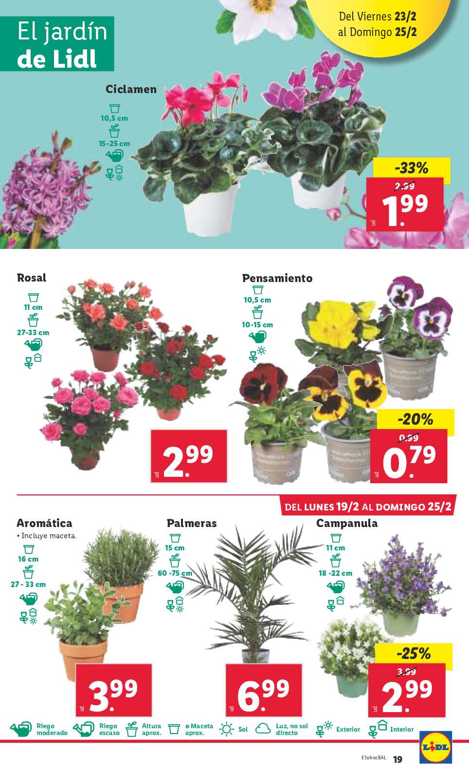 Folleto semanal bazar Lidl. Página 39