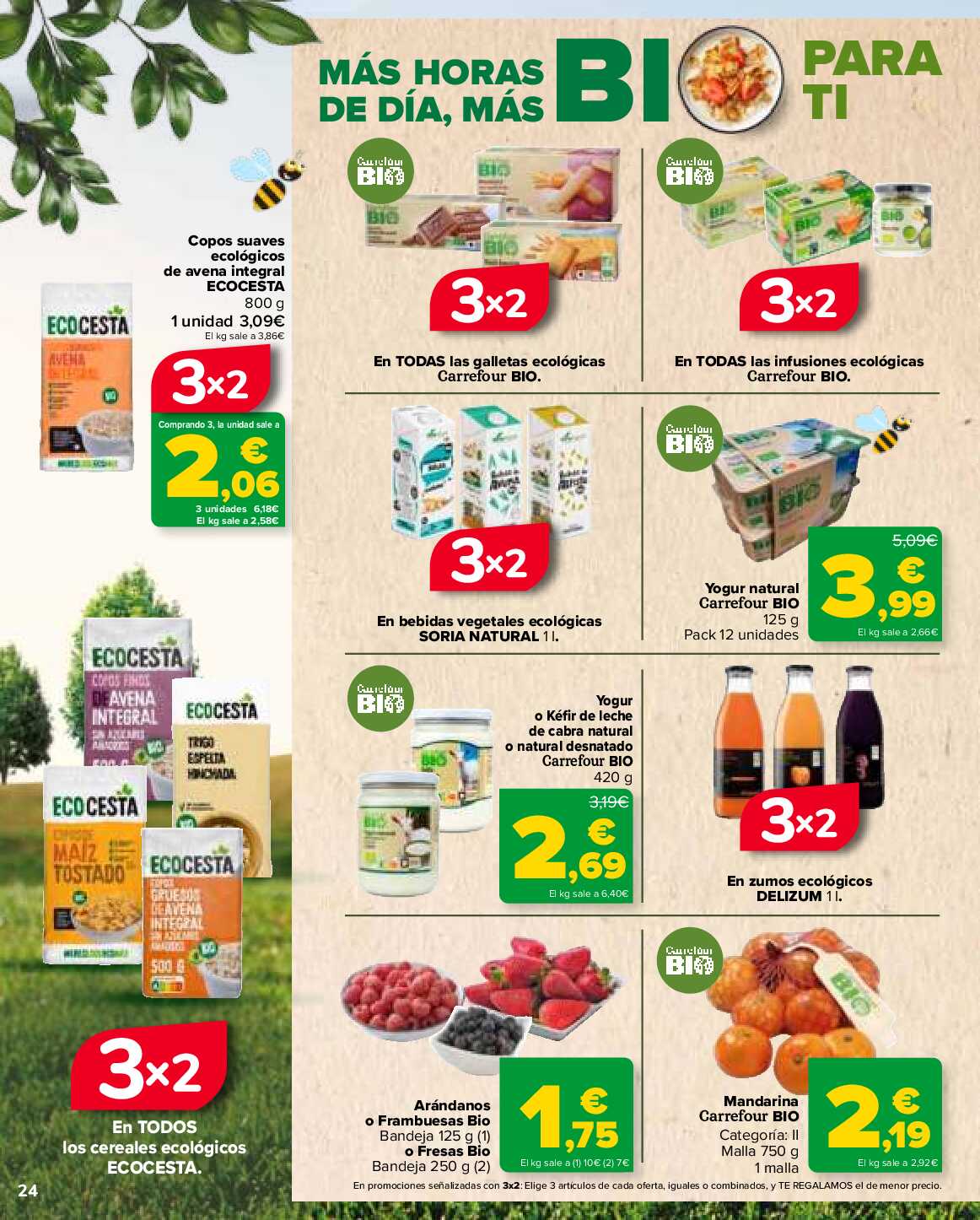 3x2 en más de 3500 productos Carrefour. Página 24