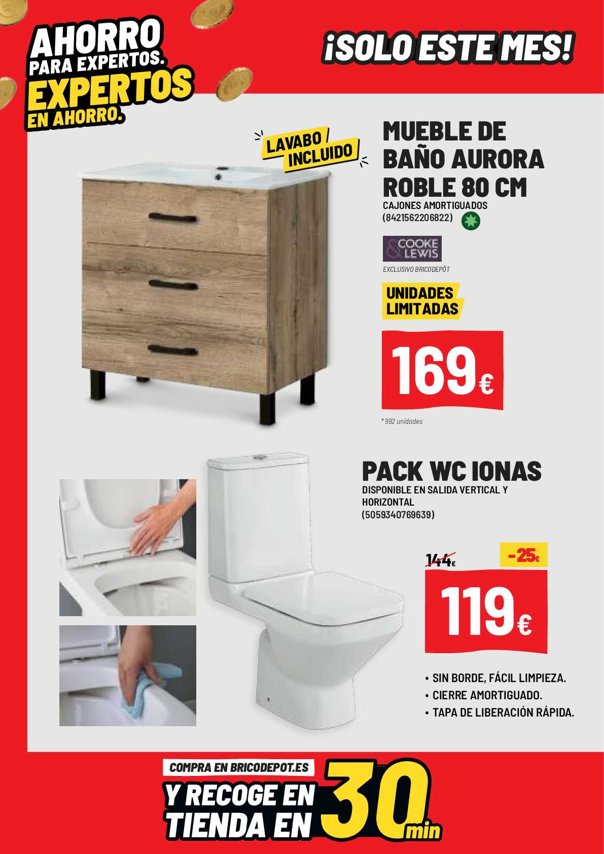 Ofertas marzo 2024 Brico Depot. Página 02