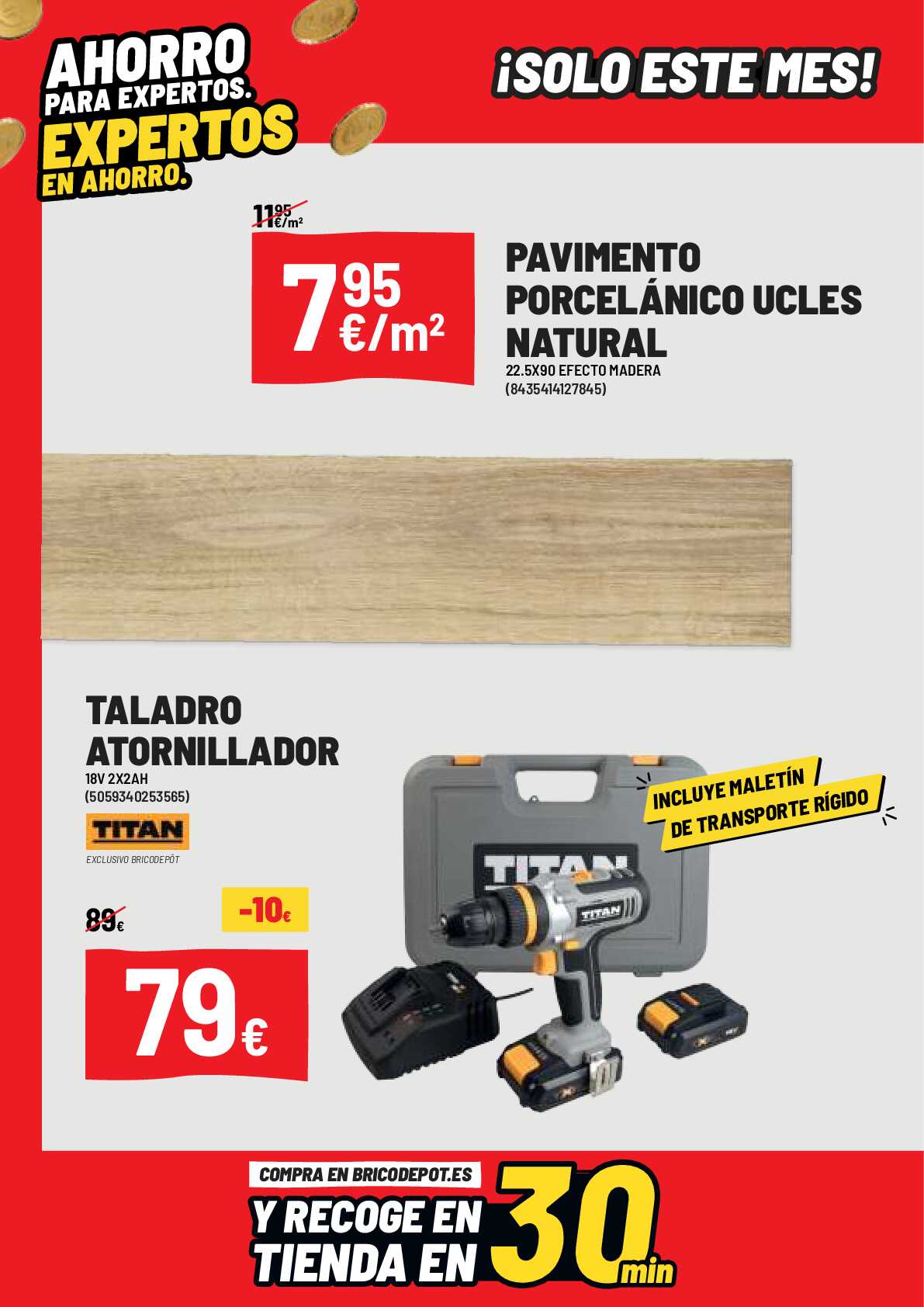 Ofertas marzo 2024 Brico Depot. Página 04