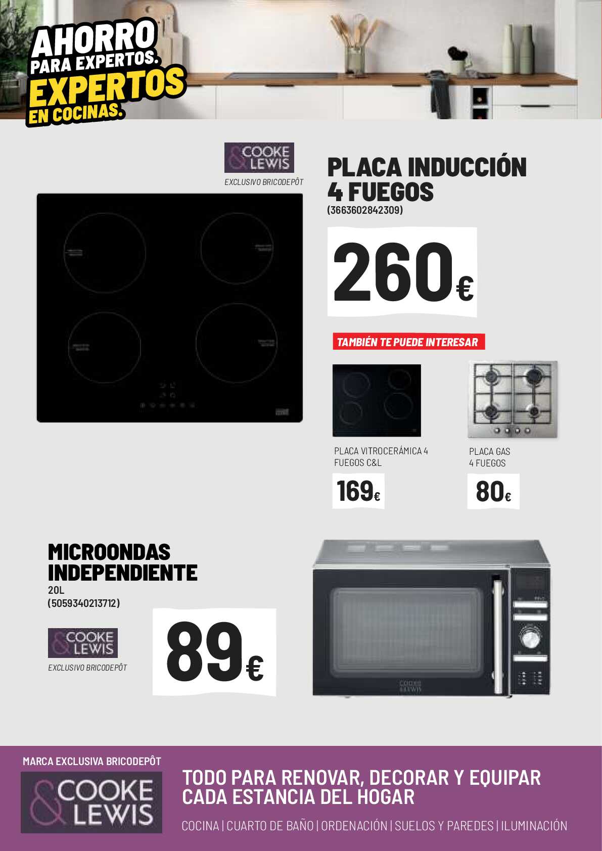 Ofertas marzo 2024 Brico Depot. Página 18