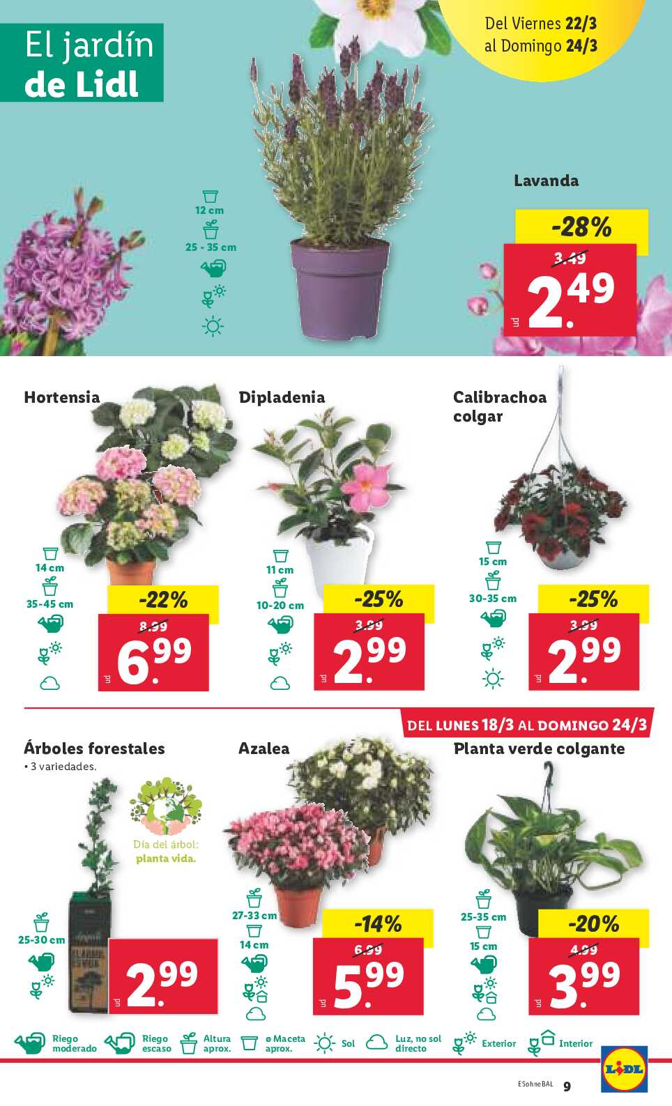 Folleto semanal Lidl. Página 09