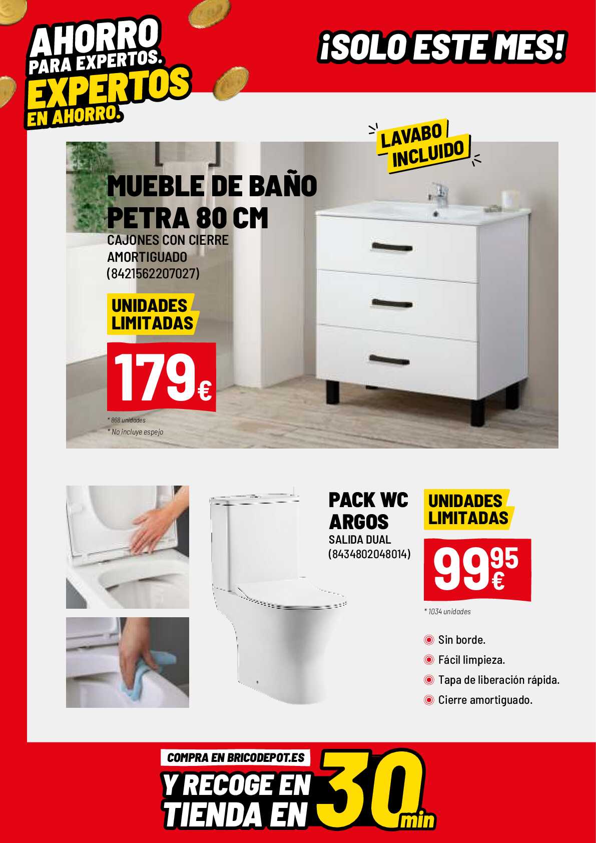 Ofertas abril Brico Depot. Página 06