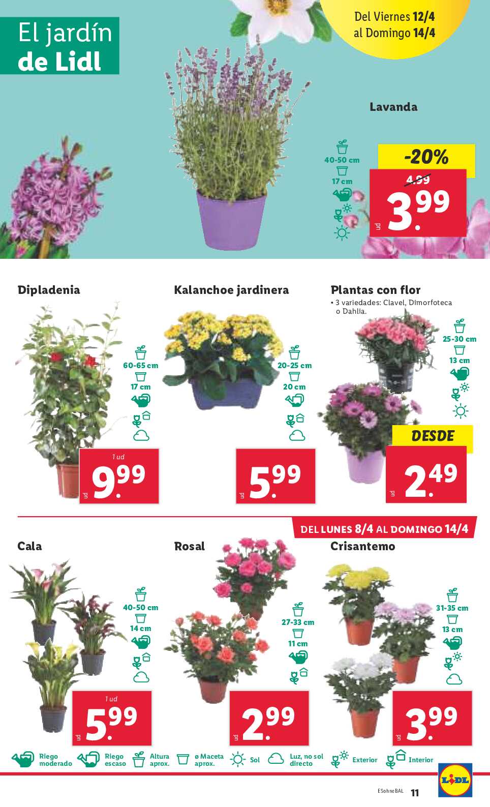 Folleto semanal Lidl. Página 11