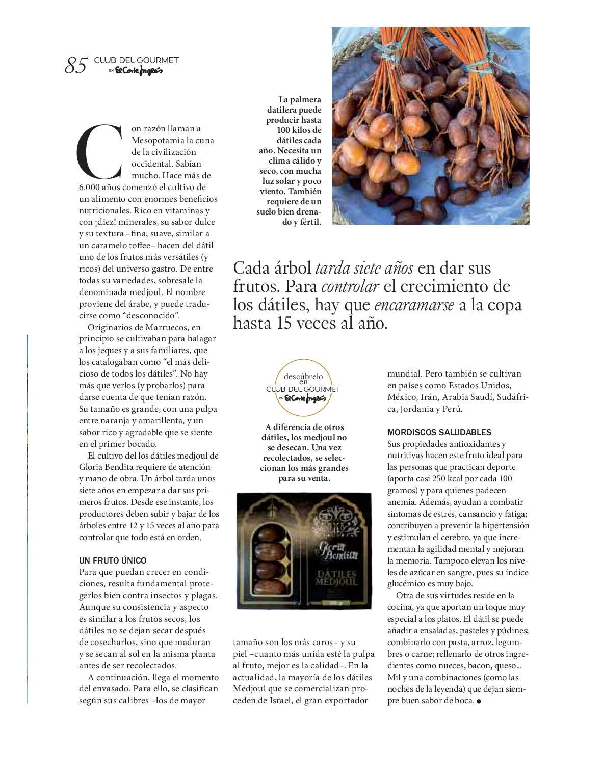 Gourmet magazine El Corte Inglés. Página 85