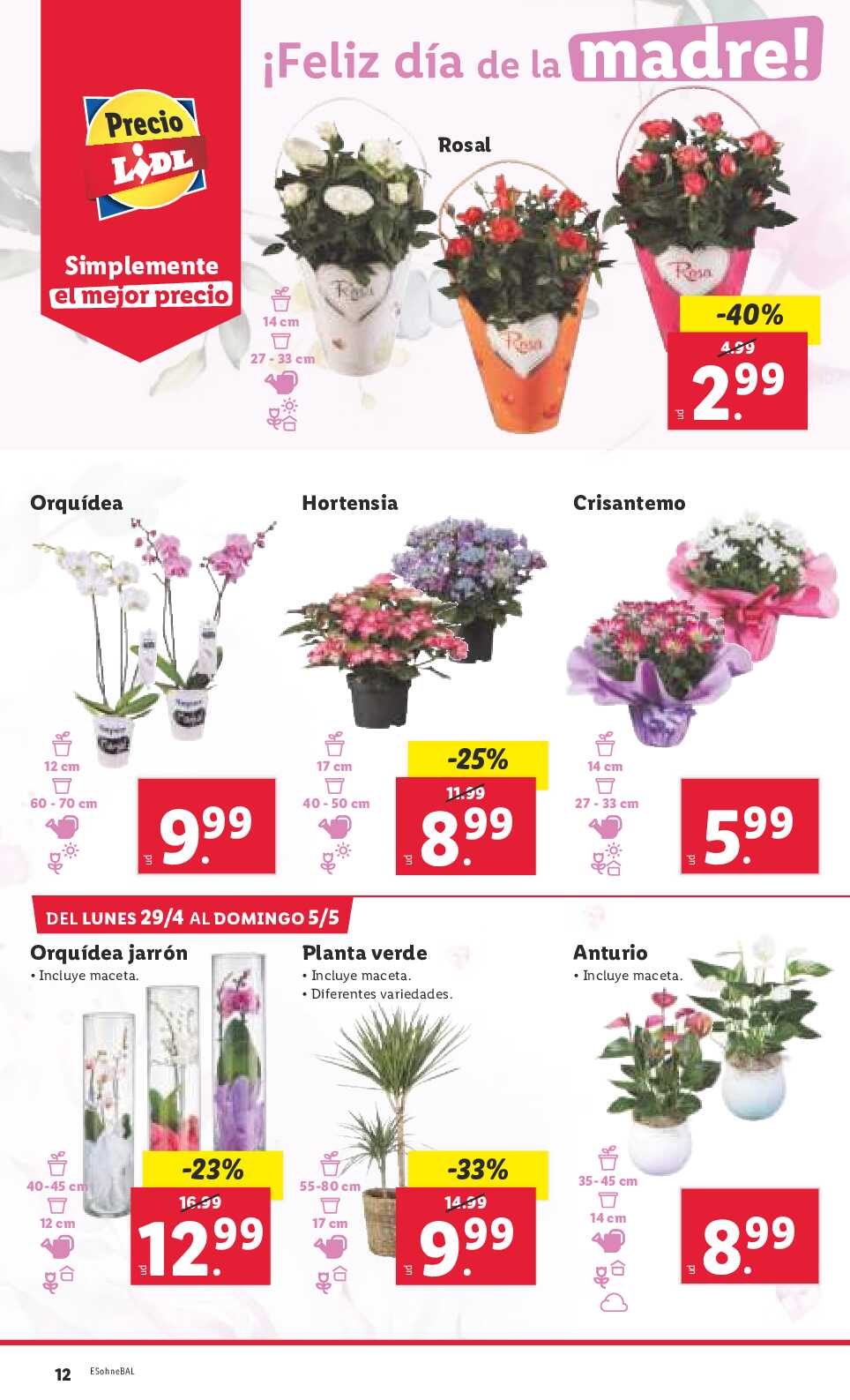 Folleto semanal Lidl. Página 12