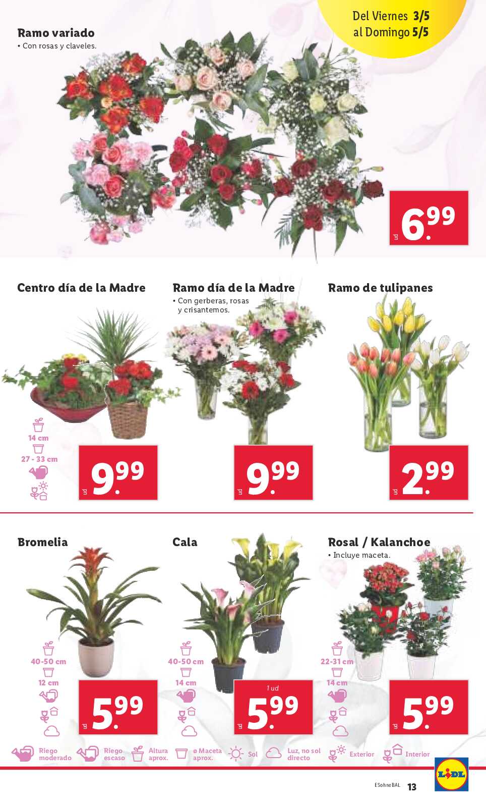 Folleto semanal Lidl. Página 13