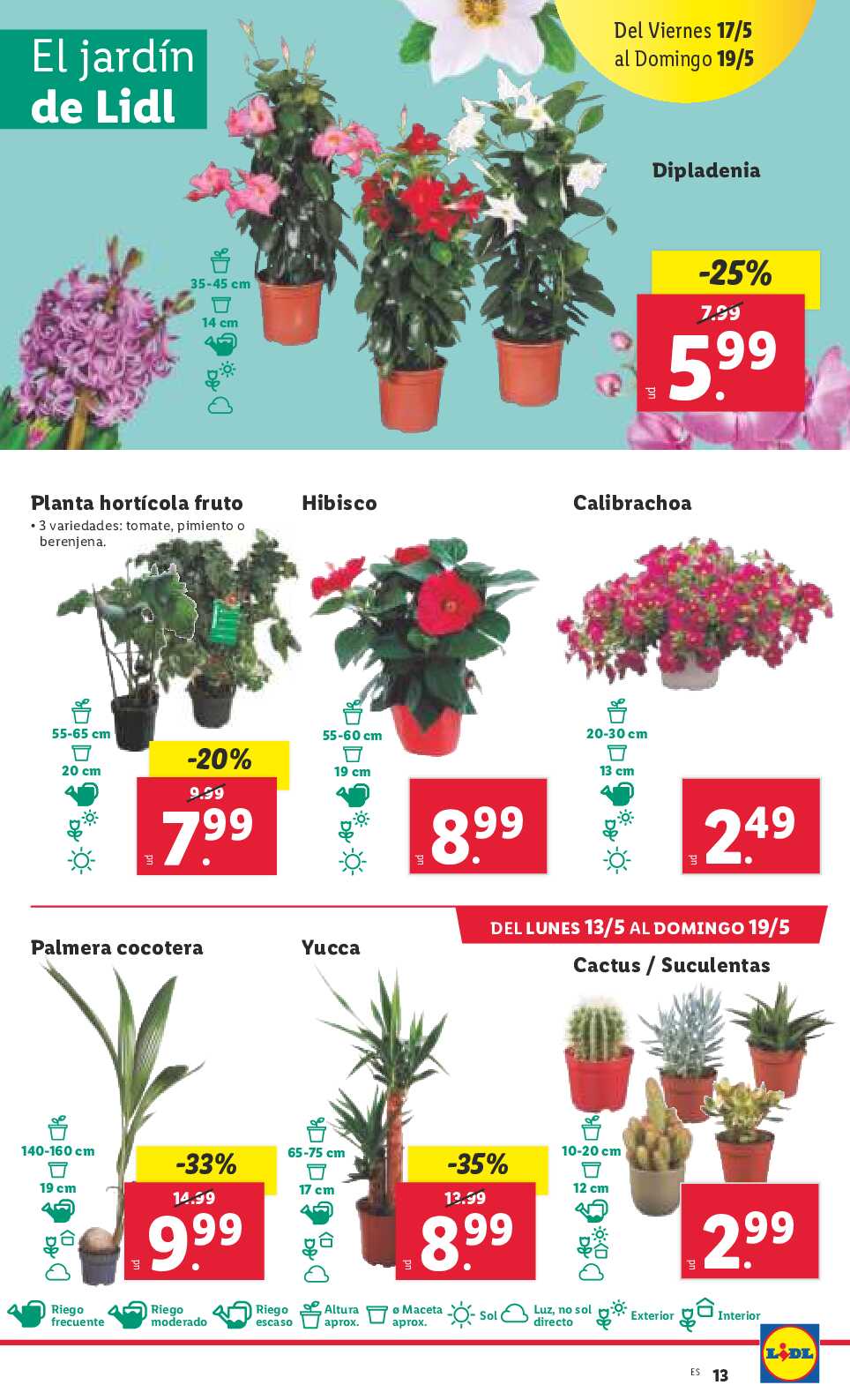 Folleto semanal Lidl. Página 13