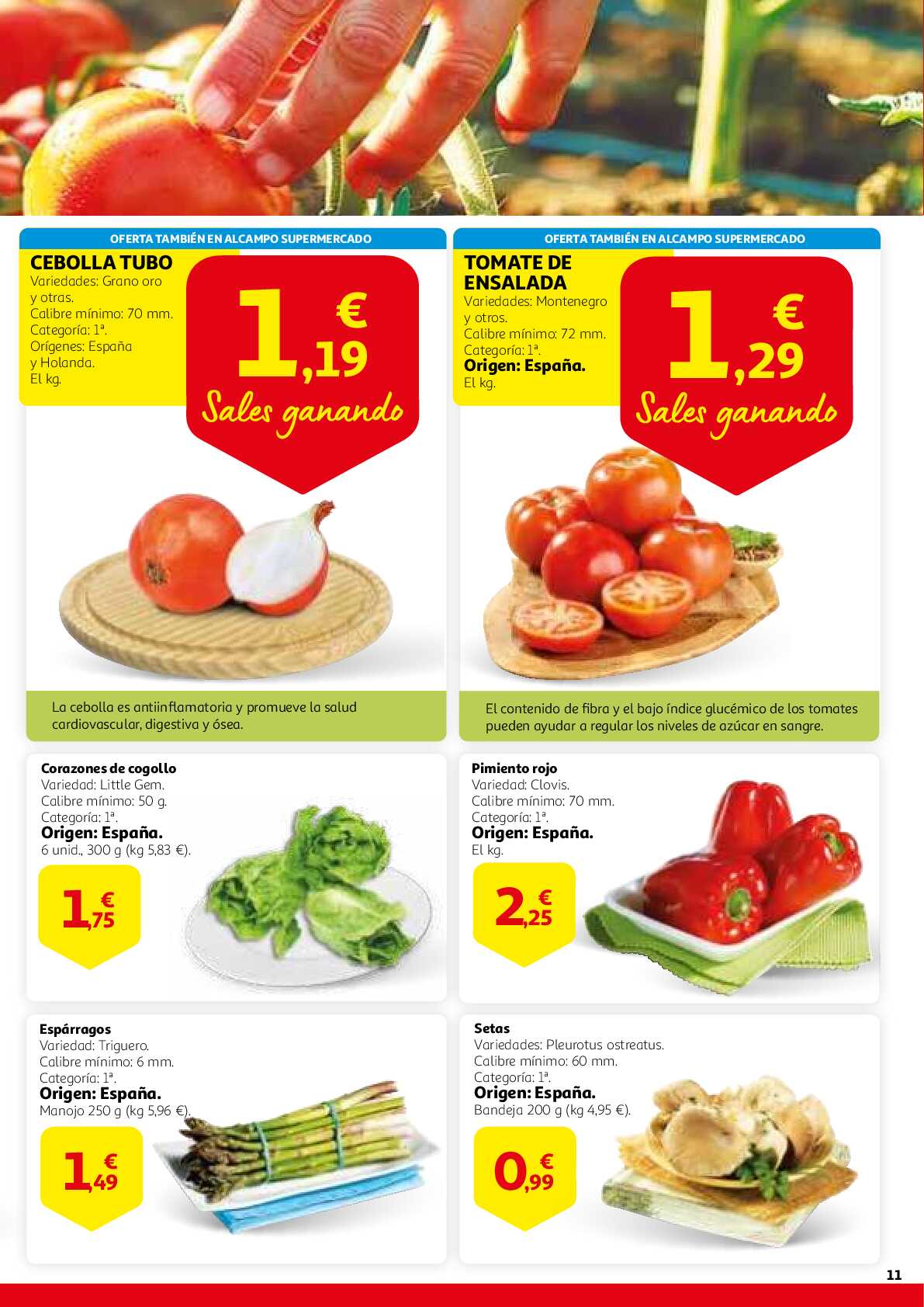 Este aniversario sales ganando Alcampo. Página 11