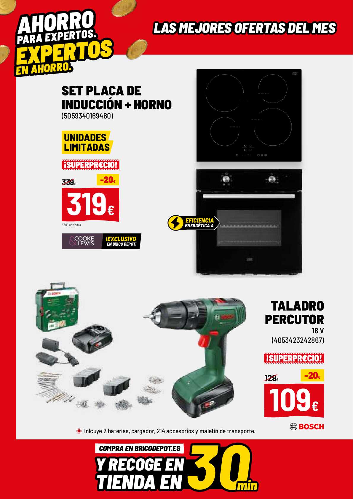 Ofertas de junio Brico Depot. Página 06
