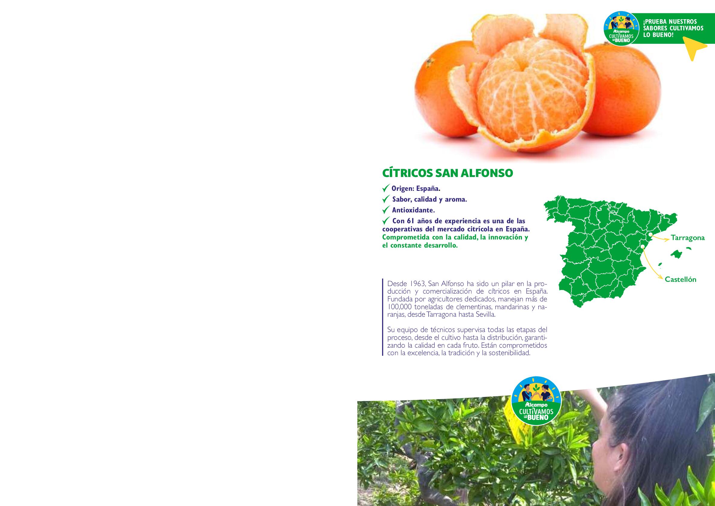 Cultivamos lo bueno Alcampo. Página 23