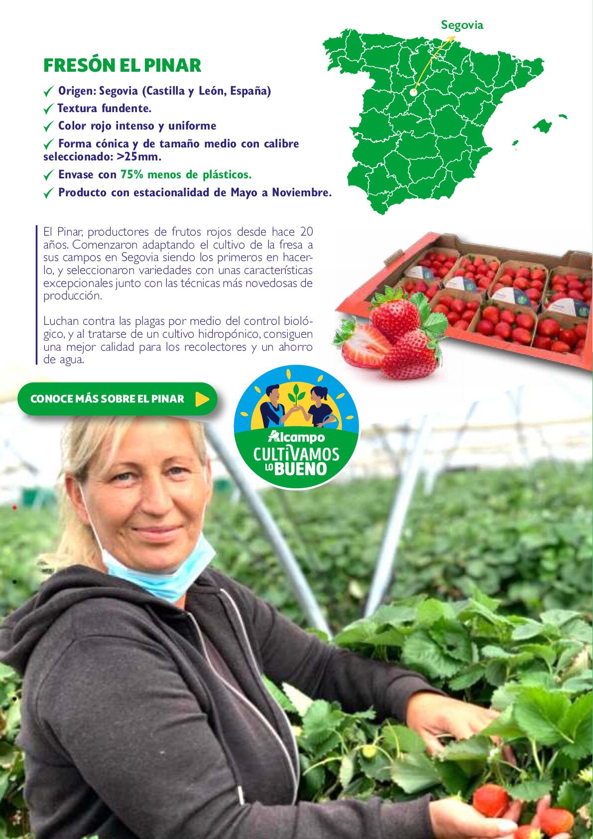 Cultivamos lo bueno Alcampo. Página 31