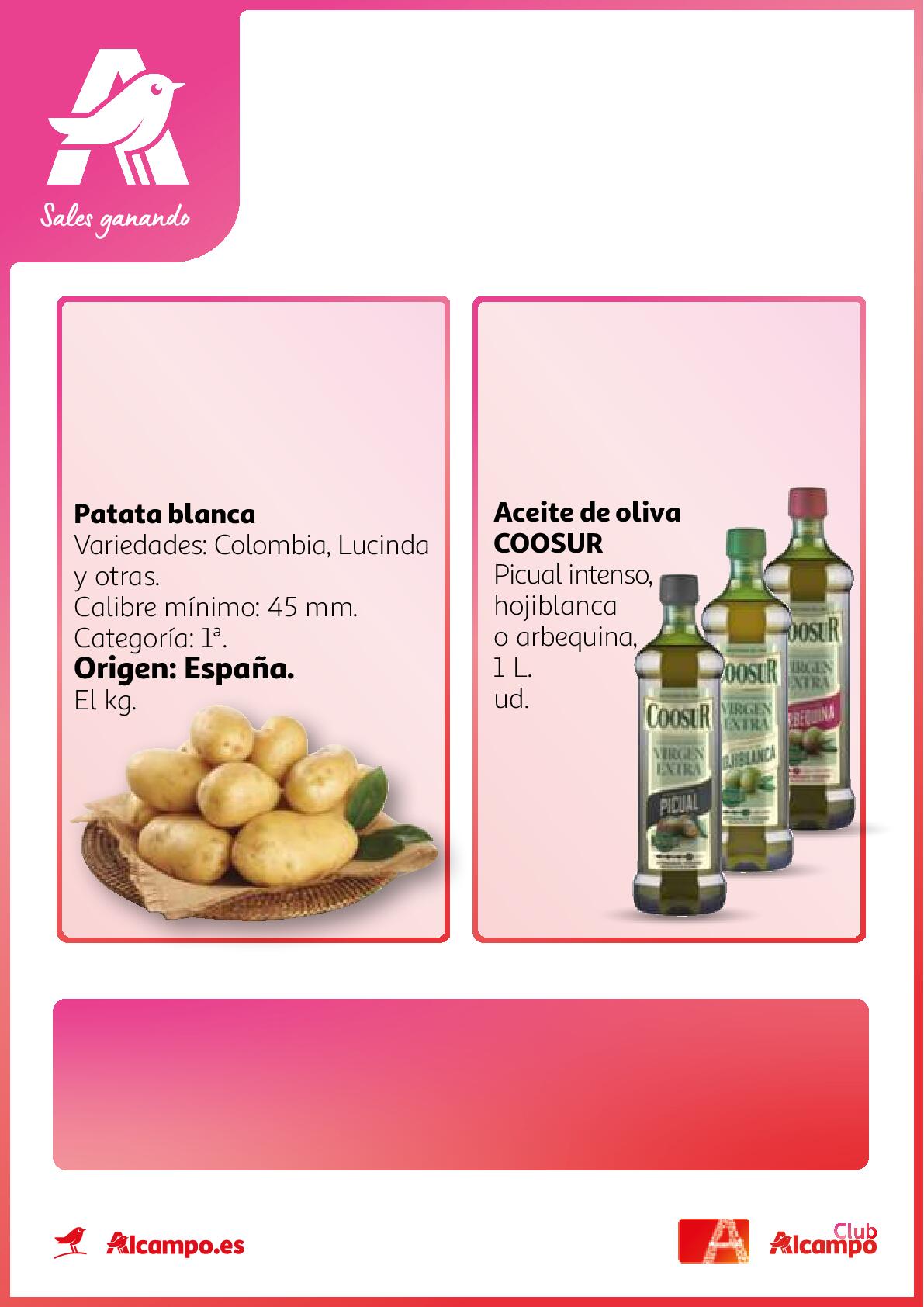 Promociones Club Alcampo Alcampo. Página 01