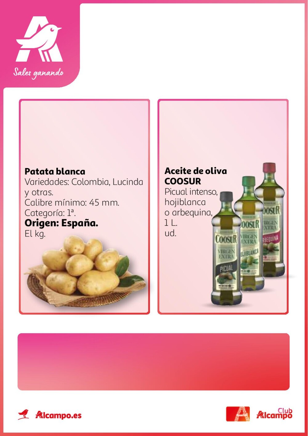 Folleto Alcampo