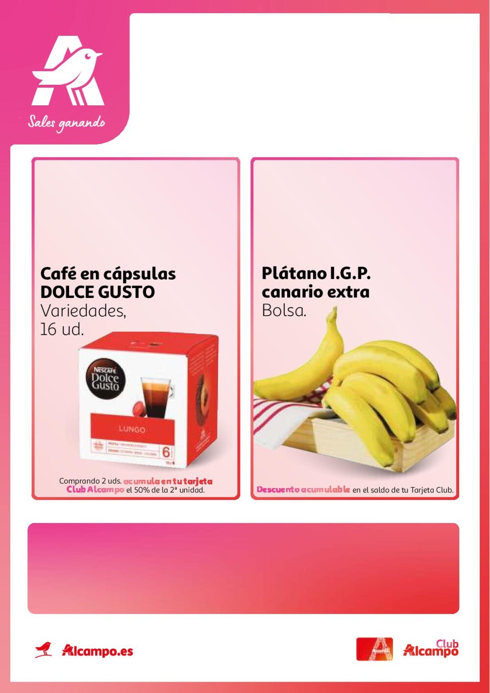 Folleto Alcampo