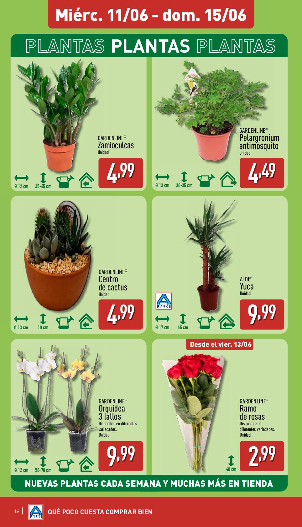 Folleto semanal Aldi. Página 16