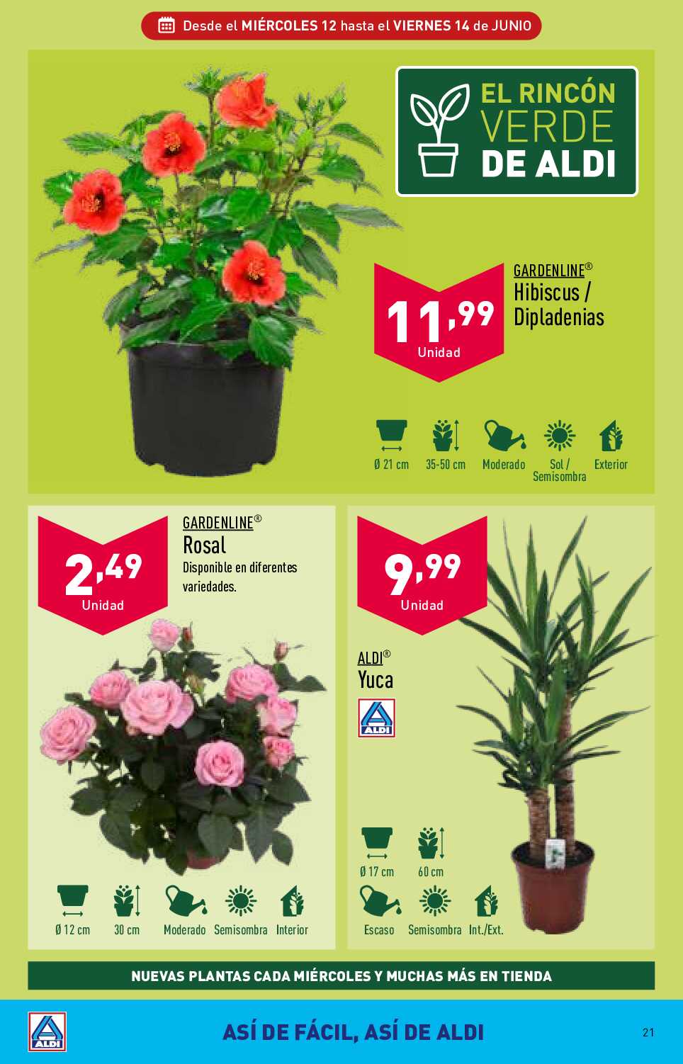 Folleto semanal Aldi. Página 21