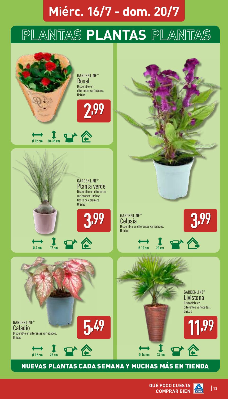 Folleto semanal: qué poco cuesta comprar bien Aldi. Página 13