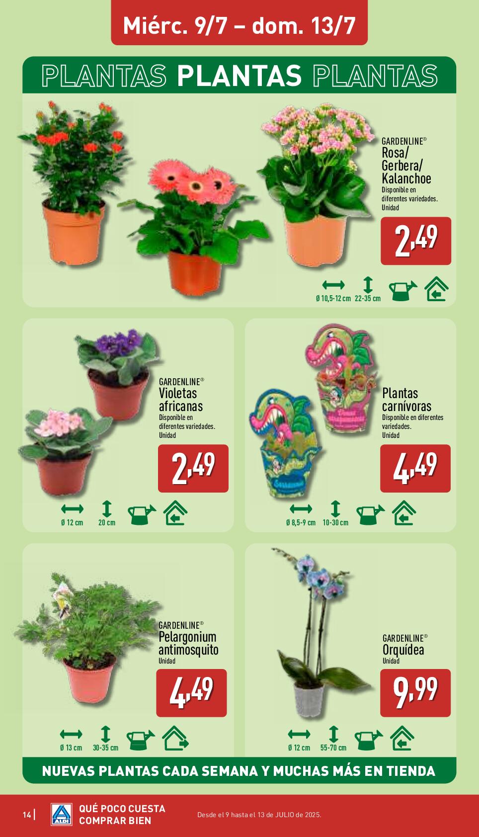 Qué poco cuesta comprar bien Aldi. Página 14