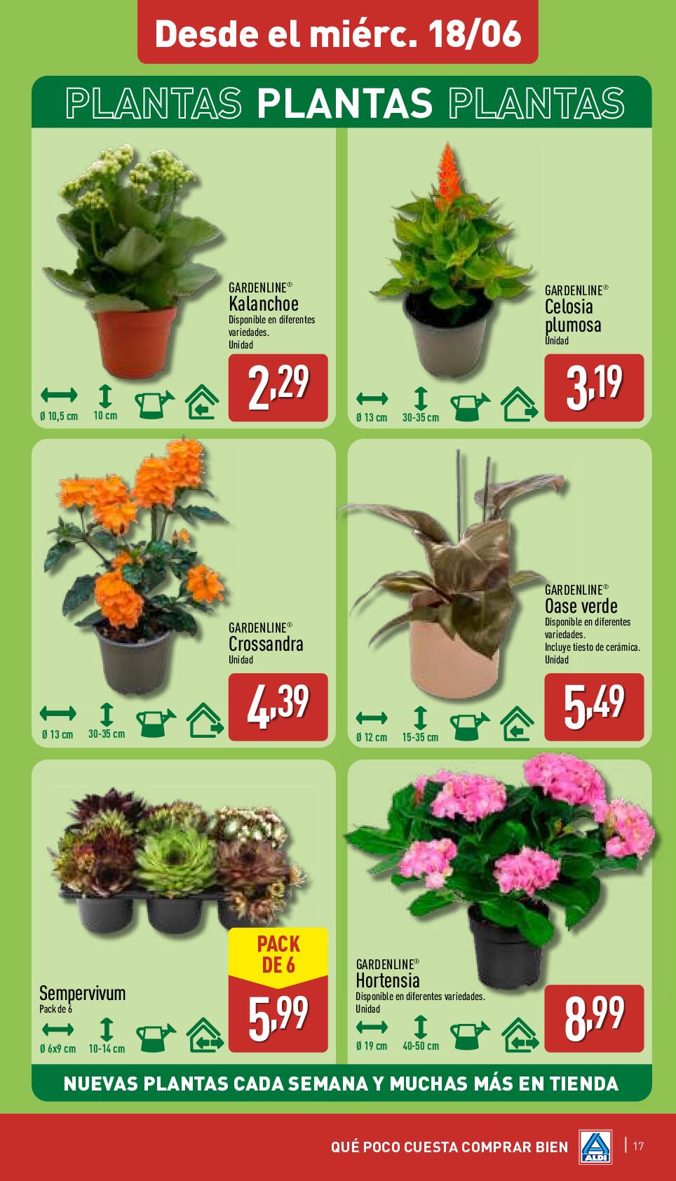 Qué poco cuesta comprar bien Aldi. Página 17