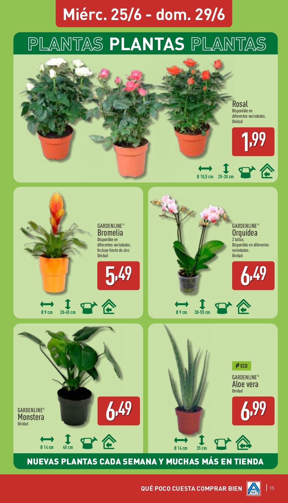 Qué poco cuesta disfrutar del verano Aldi. Página 15