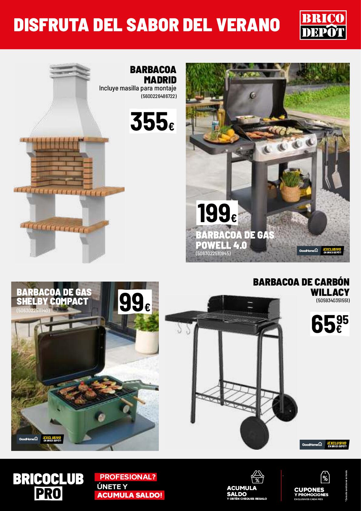 Ofertas junio Brico Depot. Página 13
