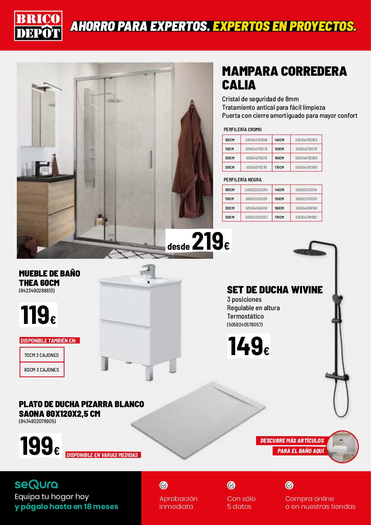 Ofertas junio Brico Depot. Página 16