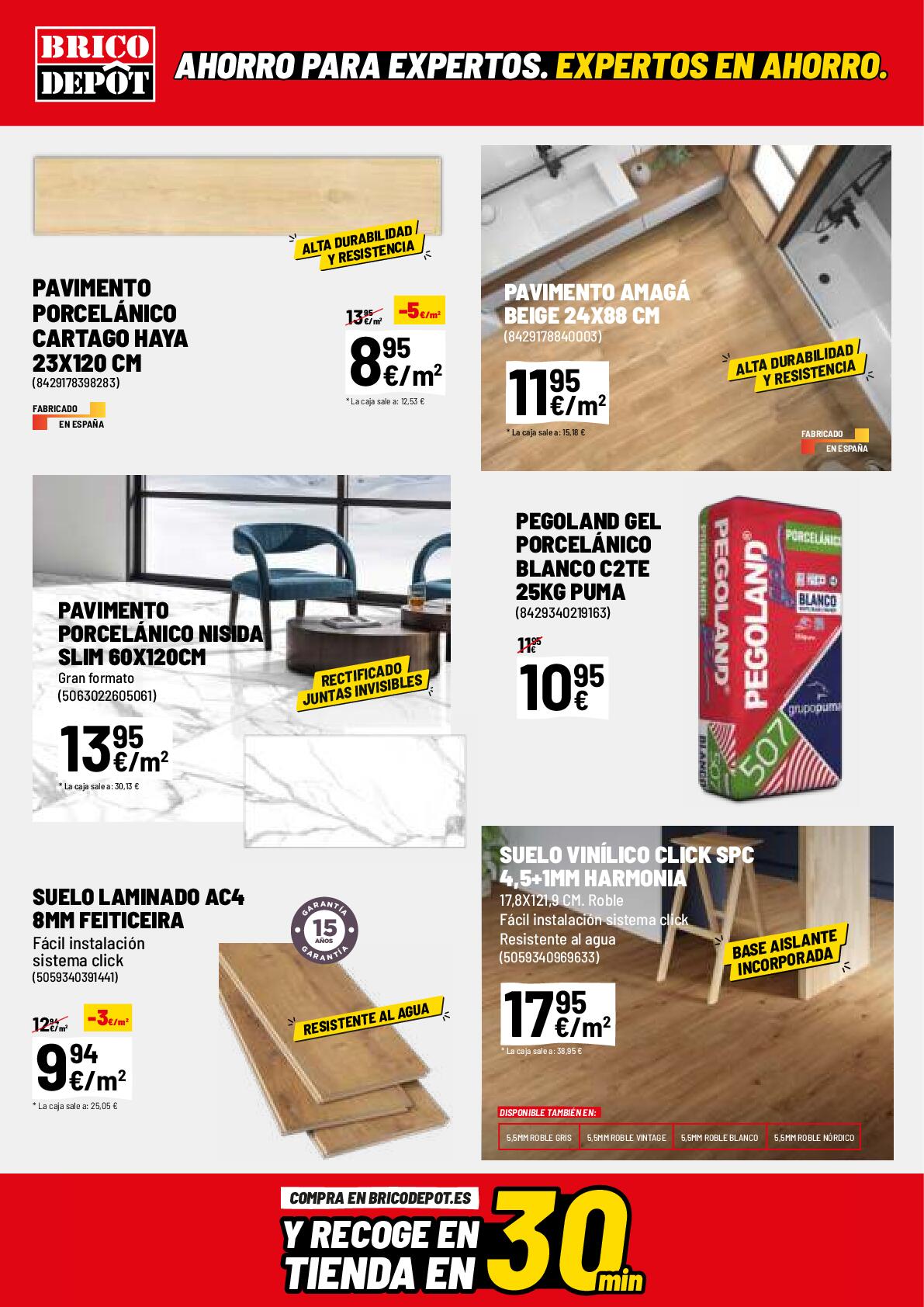 Ofertas junio Brico Depot. Página 18