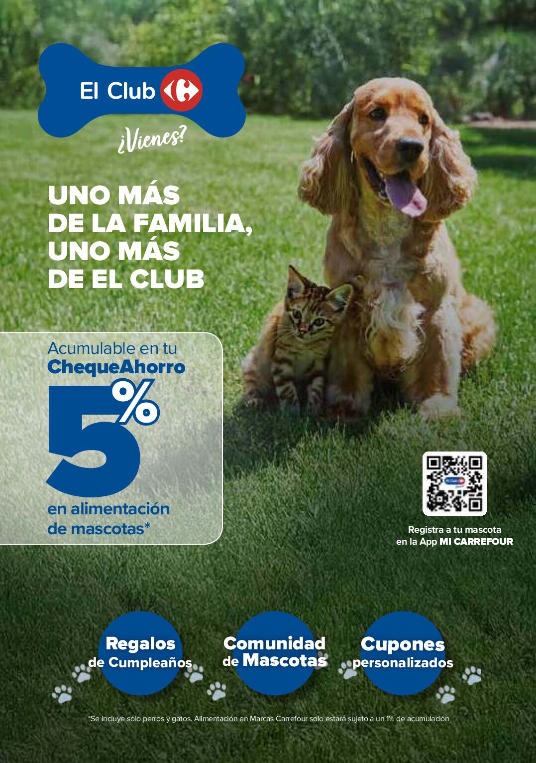 Su bienestar al mejor precio Carrefour. Página 22