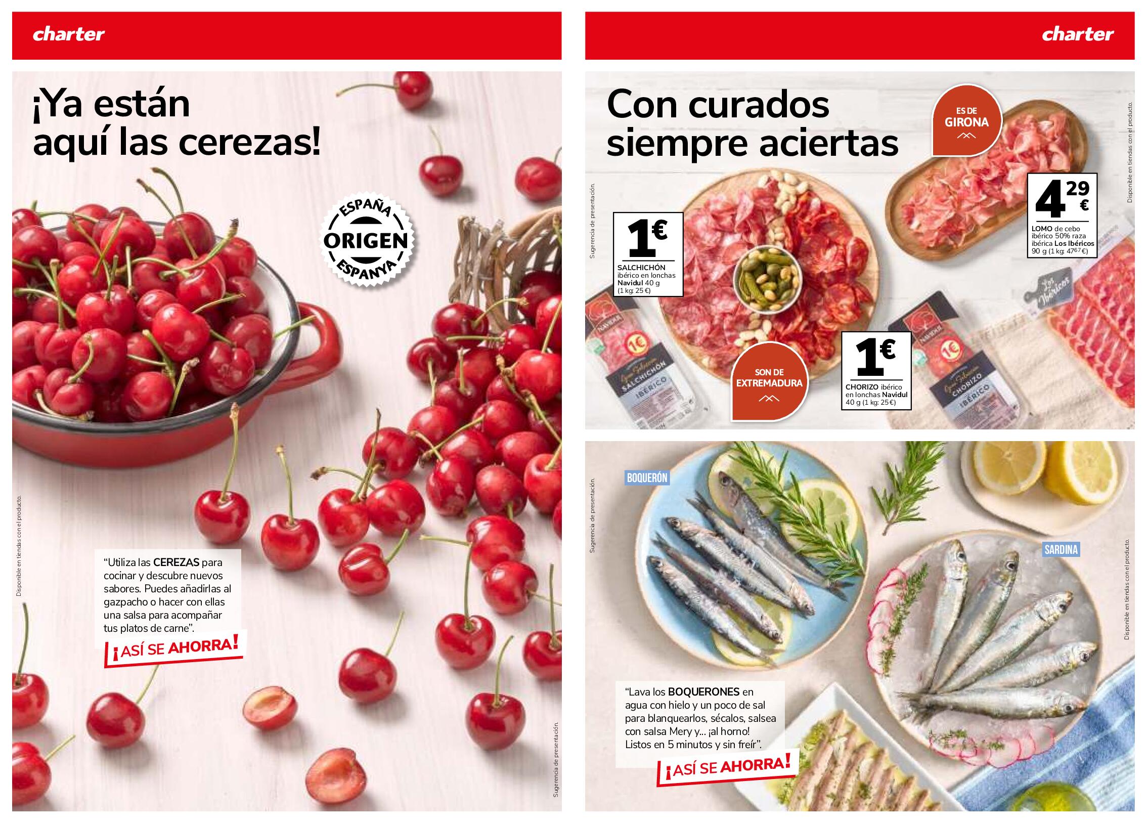Ofertas supermercado Charter. Página 06