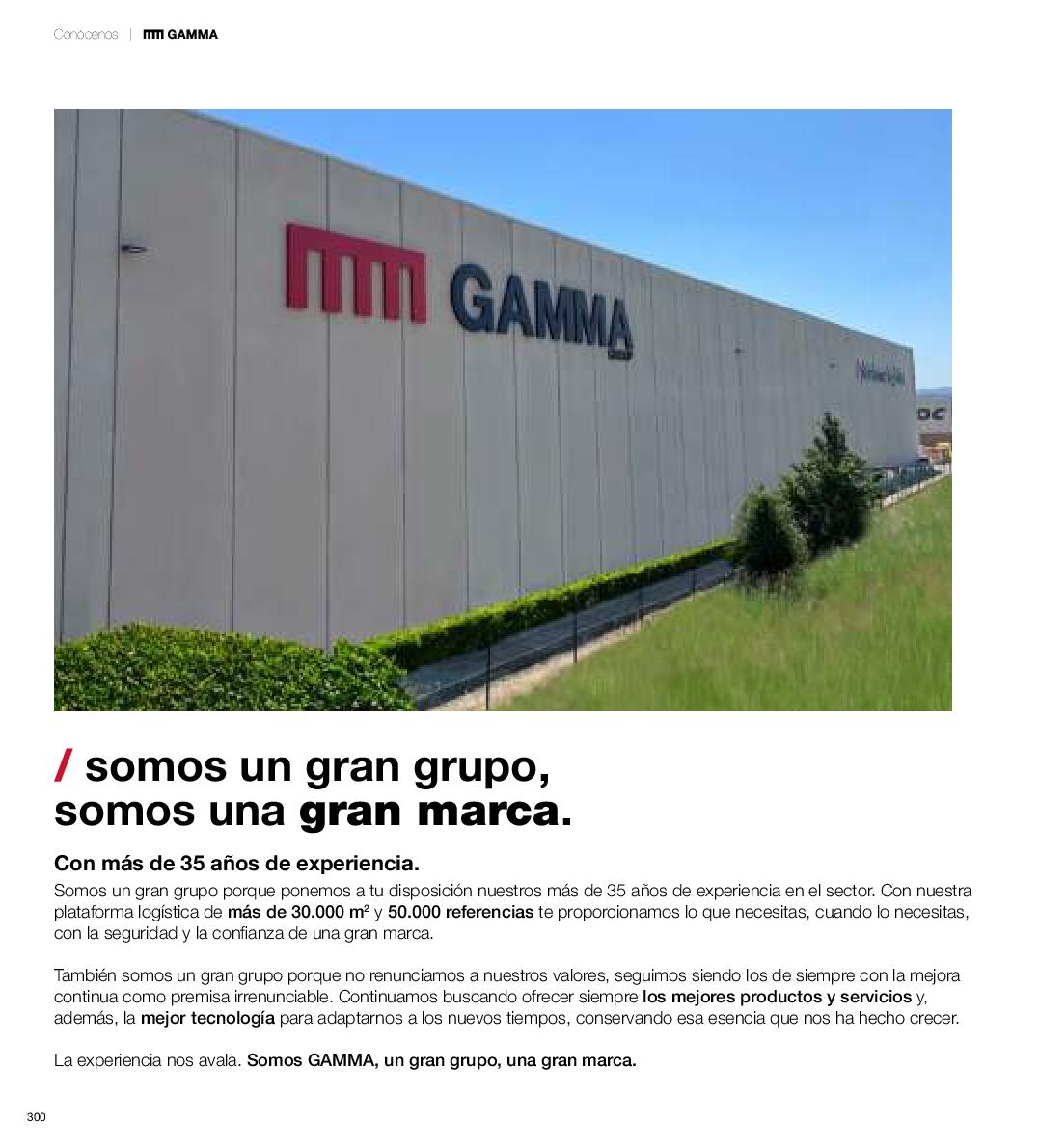 Baños que inspiran Gamma. Página 300