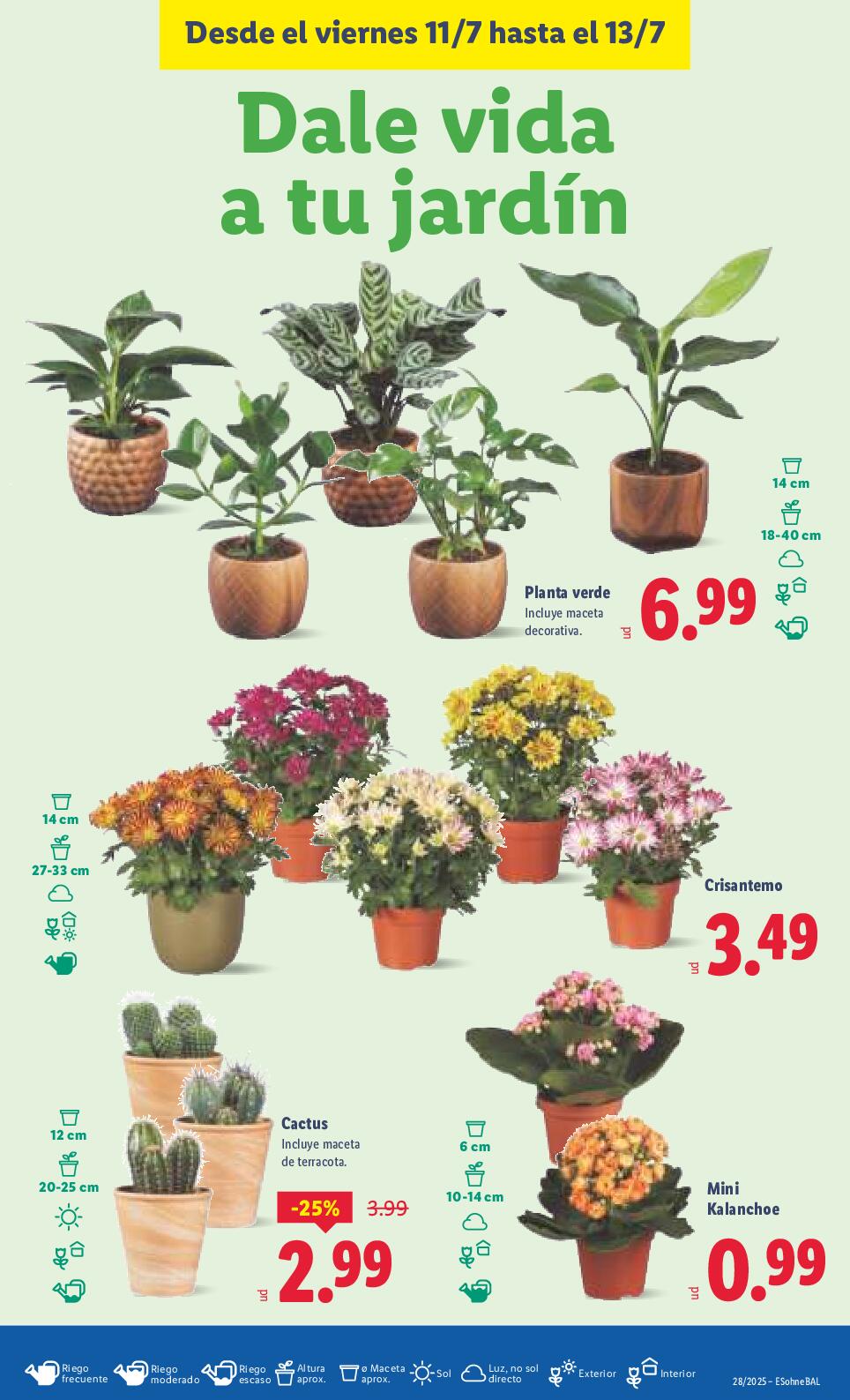 Folleto hogar Lidl. Página 13
