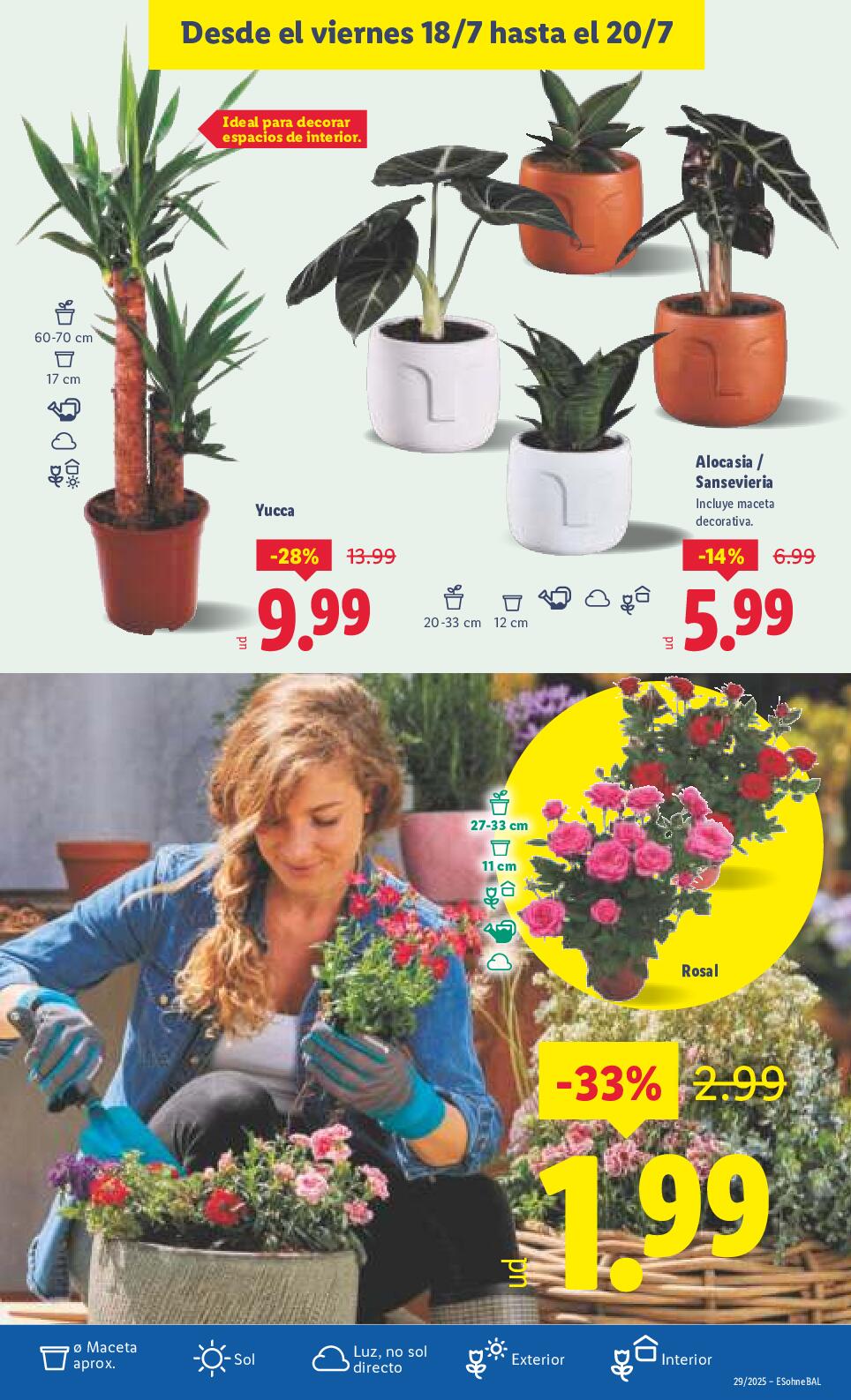 Folleto hogar Lidl. Página 25