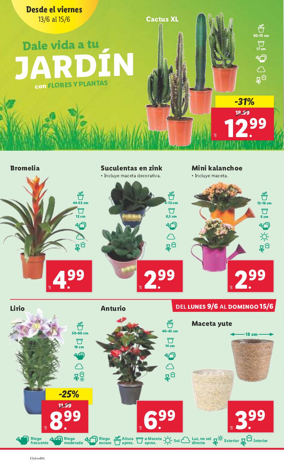 Folleto semanal Lidl. Página 46