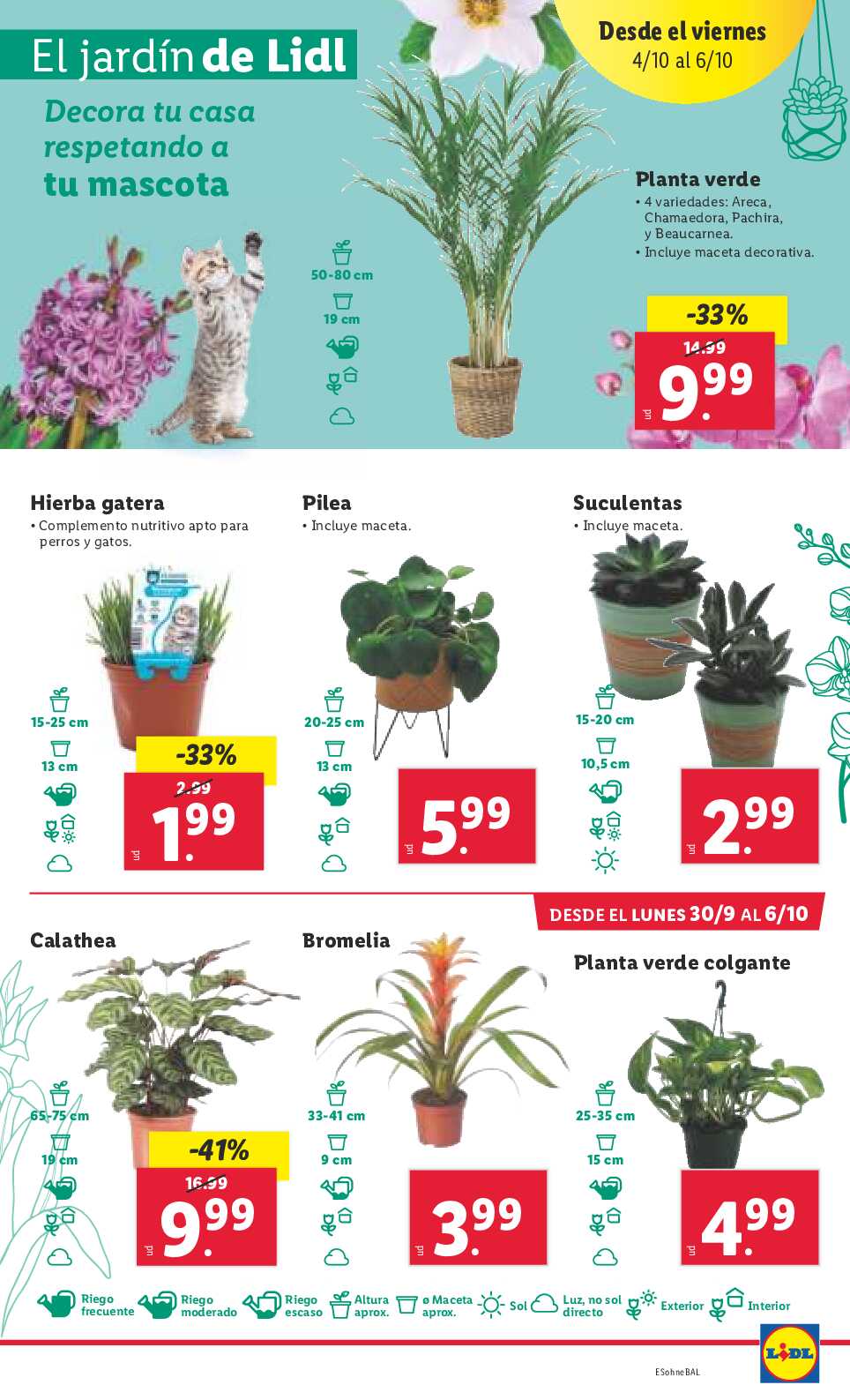 Folleto semanal Lidl. Página 21