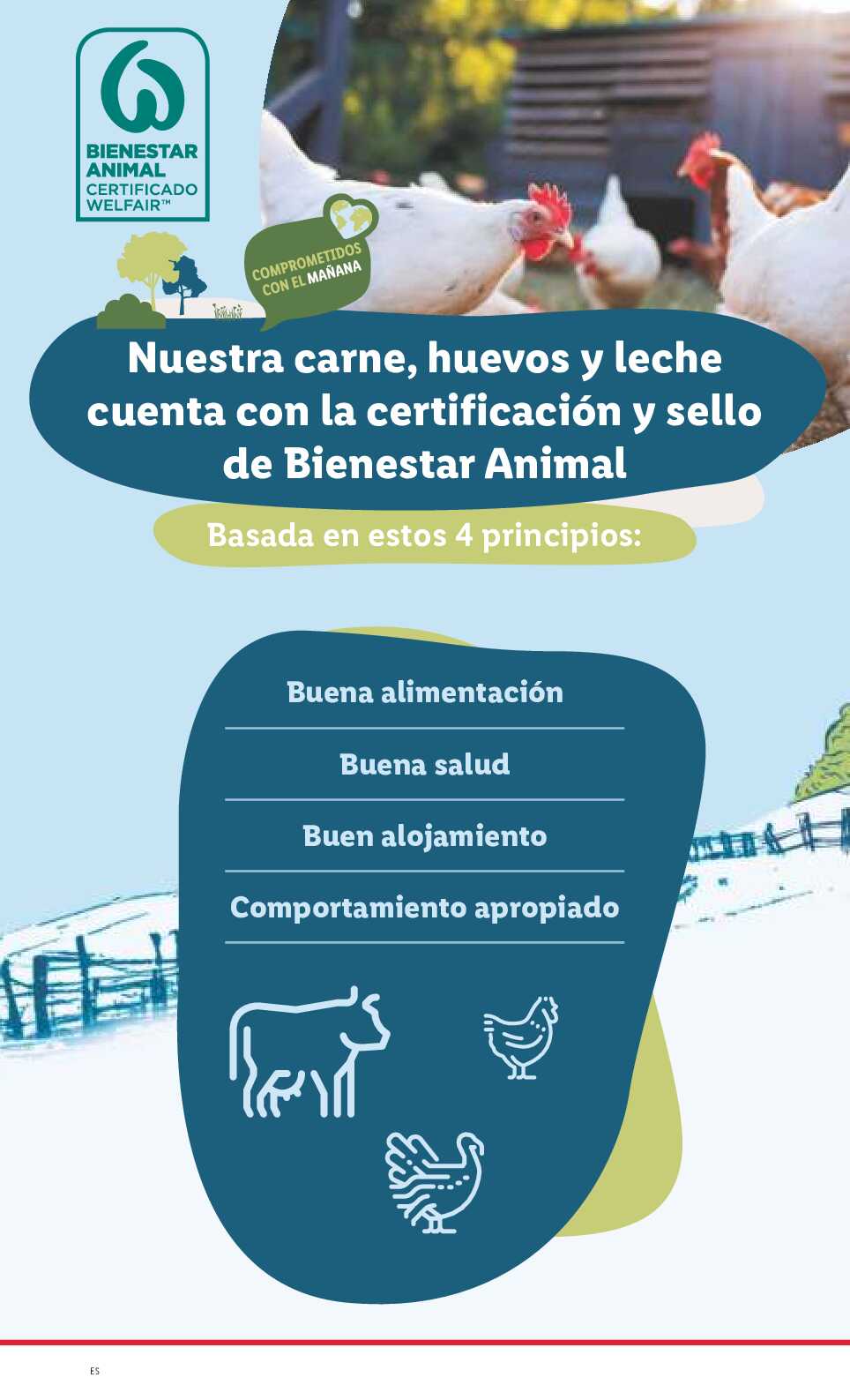 Folleto semanal Lidl. Página 26