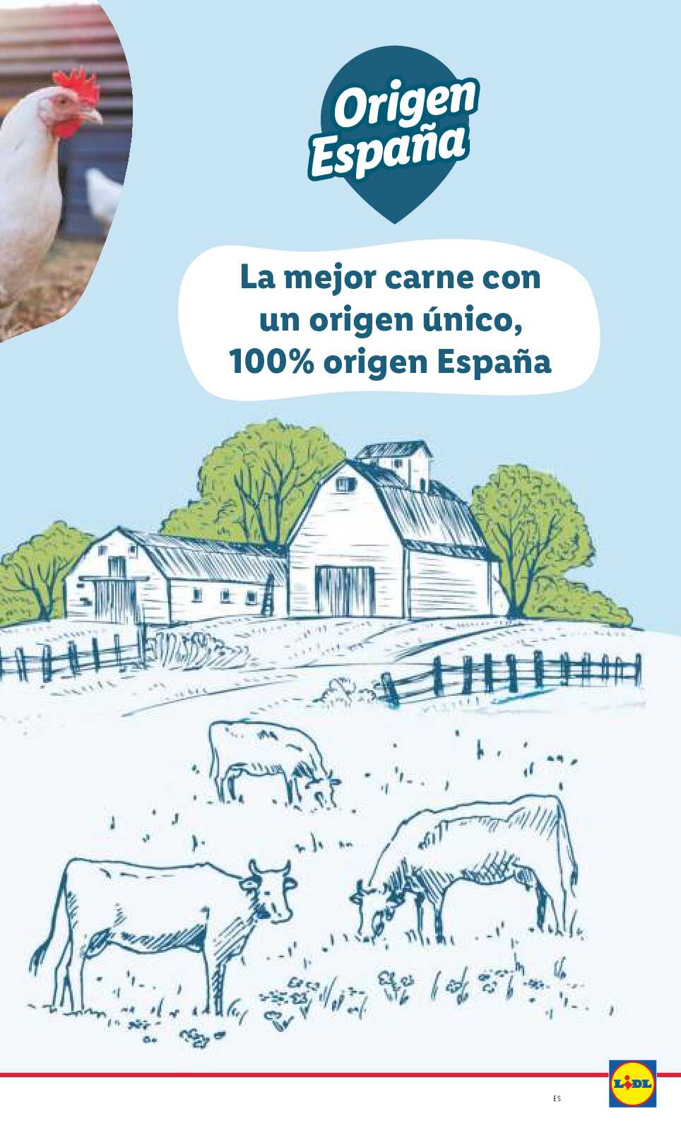 Folleto semanal Lidl. Página 27