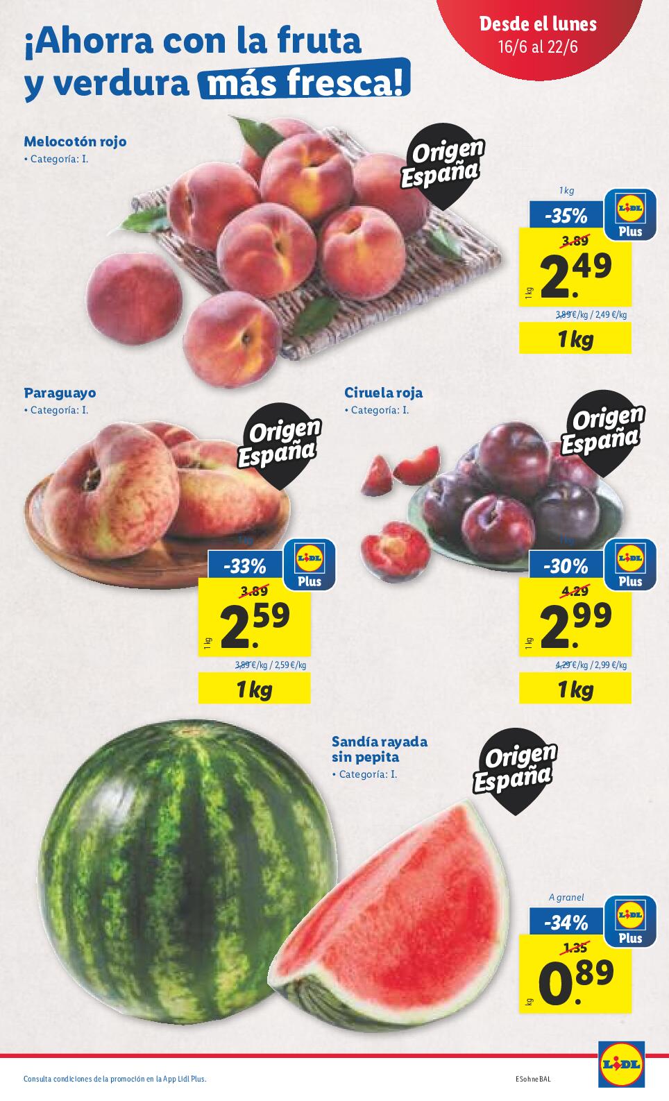 Hogar y bazar Lidl. Página 39