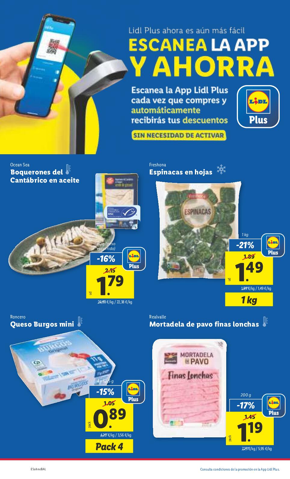 Hogar y bazar Lidl. Página 50