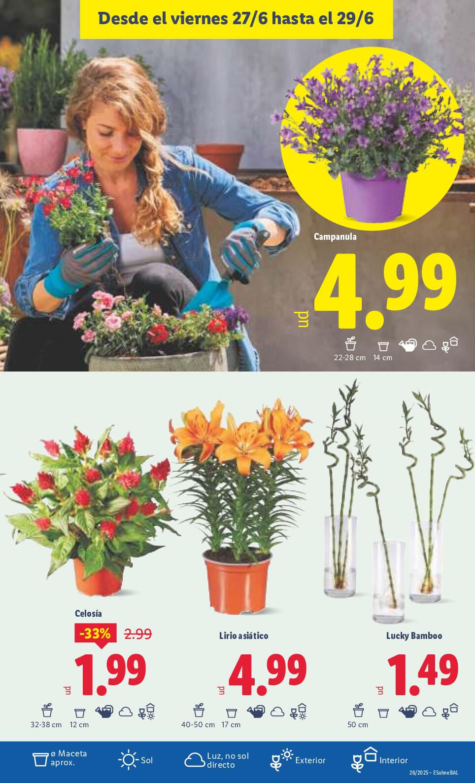 Hogar y bazar Lidl. Página 19