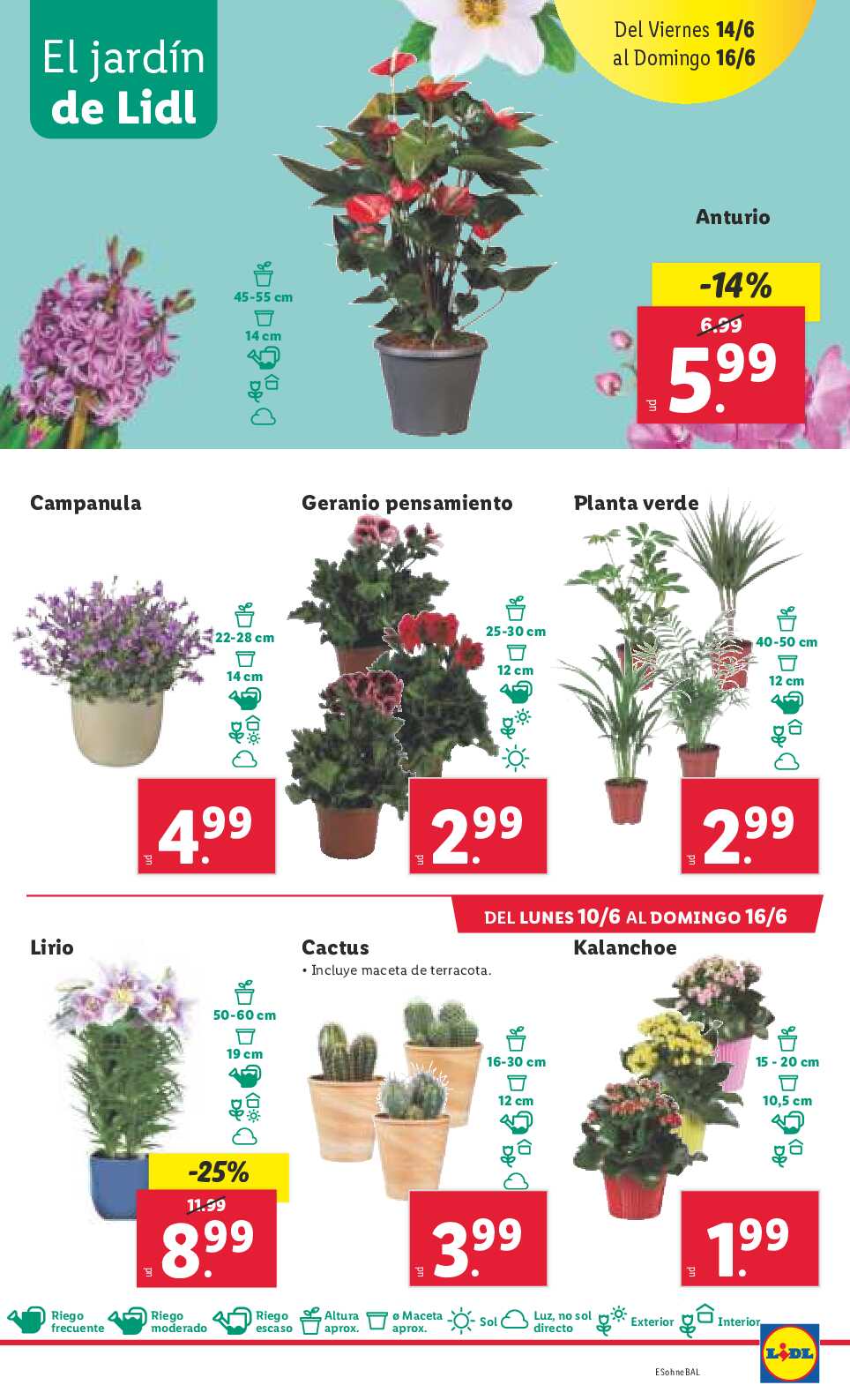 Folleto semanal bazar Lidl. Página 41