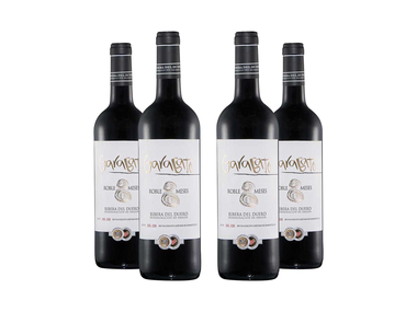 Garabato vino tinto roble DO Ribera del Duero Pack 4